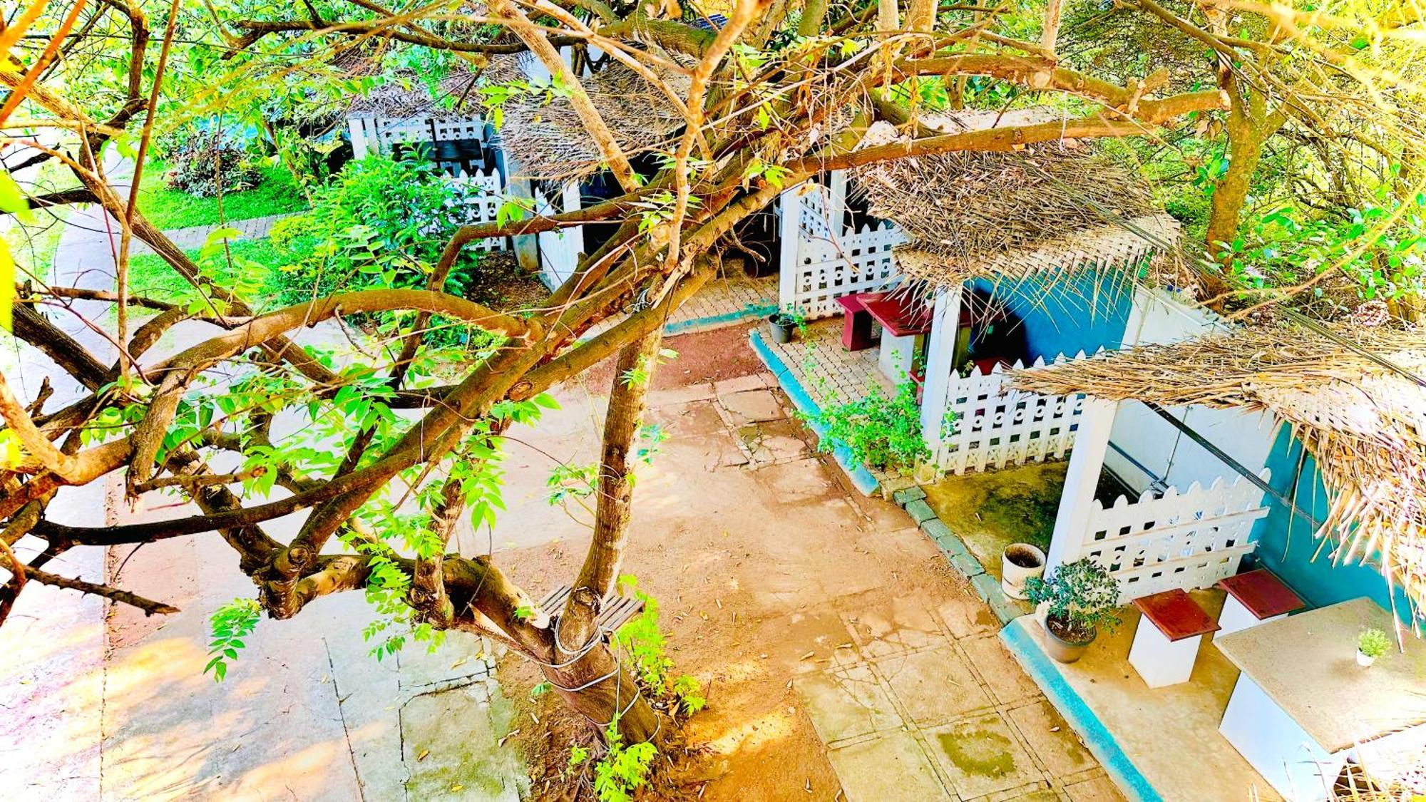 New Peacock Resort Dambulla Extérieur photo